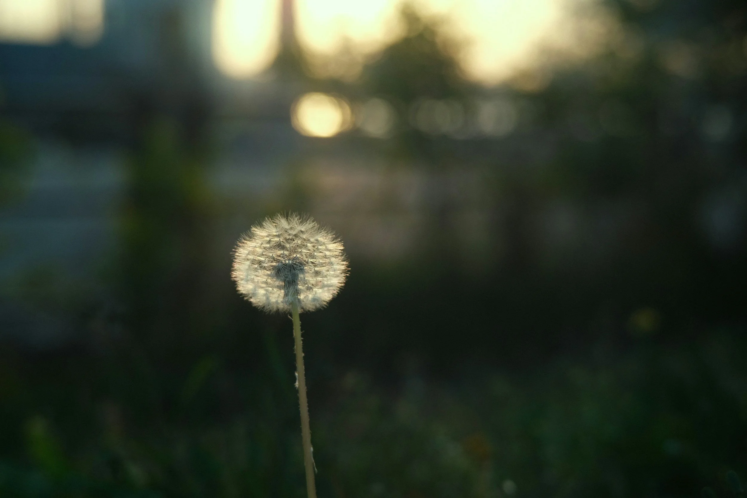A young person looking ahead with hope